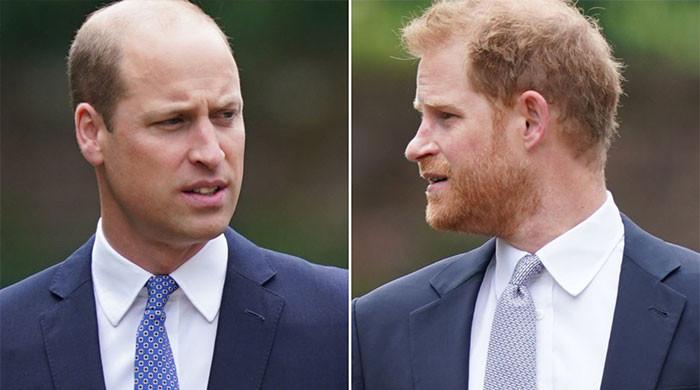 Prince William’s stress on Harry slammed as ‘out of contact’