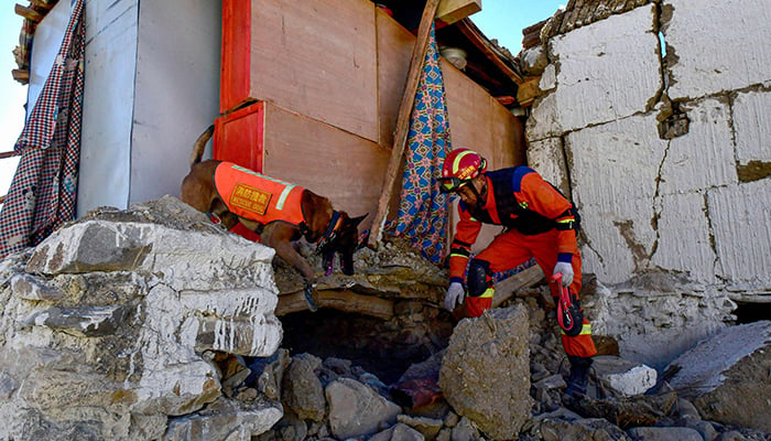 A rescuer searches a house for survivors with a rescue dog after an earthquake at Cuoguo township in Shigatse, southwestern China´s Tibet region on January 8, 2025. — AFP