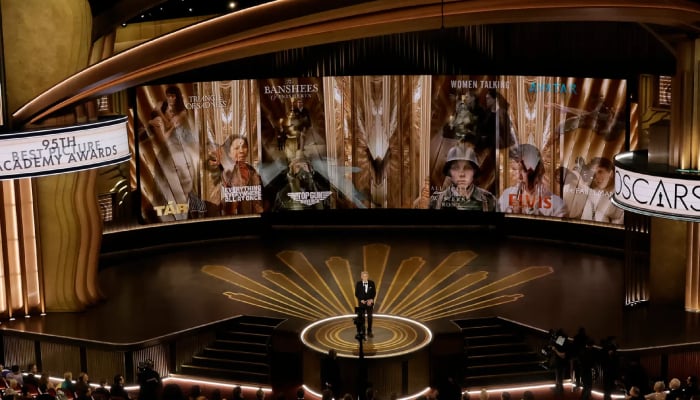 Oscars 2025 have been postponed as Hollywood catches fire