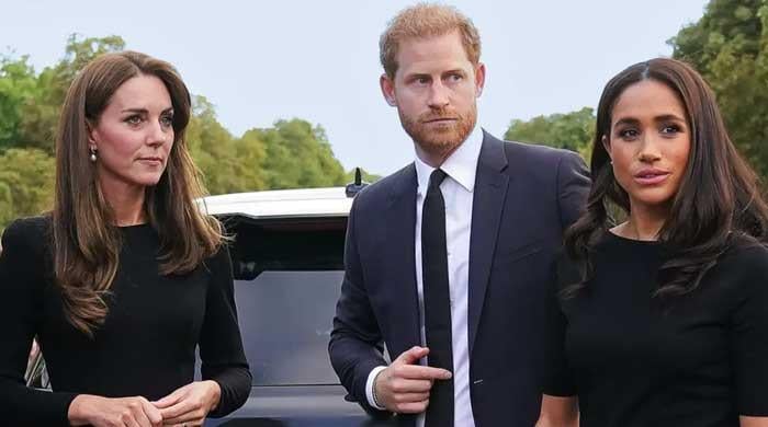 Prince Harry, Meghan Markle launch heartbreaking assertion as Kate celebrates birthday