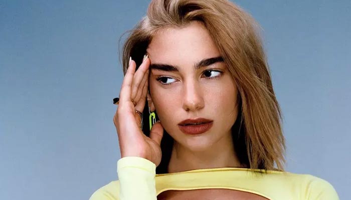 Dua Lipa leaves Los Angeles after a scary couple of days due to the wildfire