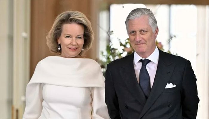 With amazing accuracy, Queen Mathilde recycles her cousin’s legendary appearance.