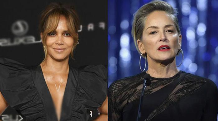 Halle Berry follows in Sharon Stones footsteps to help L.A. fire victims