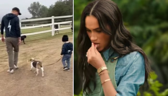 Meghan Markle’s Netflix show to spotlight iconic Jewellery, Prince Archie’s tribute