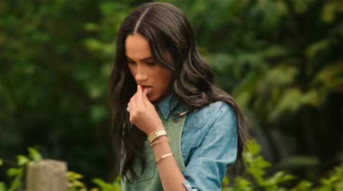 Meghan Markle's Netflix show to be postponed amid LA wildfire crisis