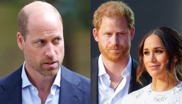 Prince Harry, Meghan address online bullying as William begins powerful role