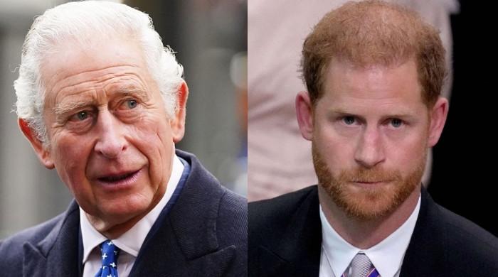 King Charles receives heartbreaking information from Prince Harry amid LA fireplace