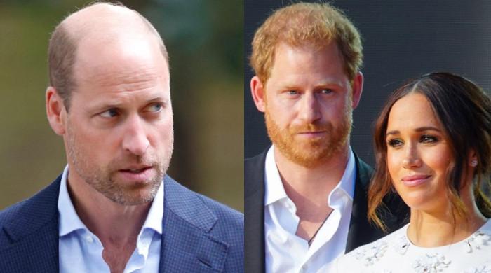 Prince Harry, Meghan tackle ‘on-line bullying’ as William begins highly effective function