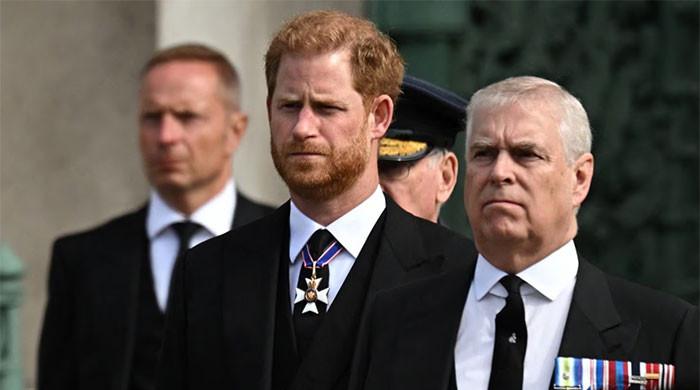 Prince Harry and Andrew dubbed ‘The Lost Royals’ in scathing Palace