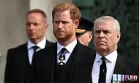 Prince Harry And Andrew Dubbed 'The Lost Royals' In Scathing Palace 