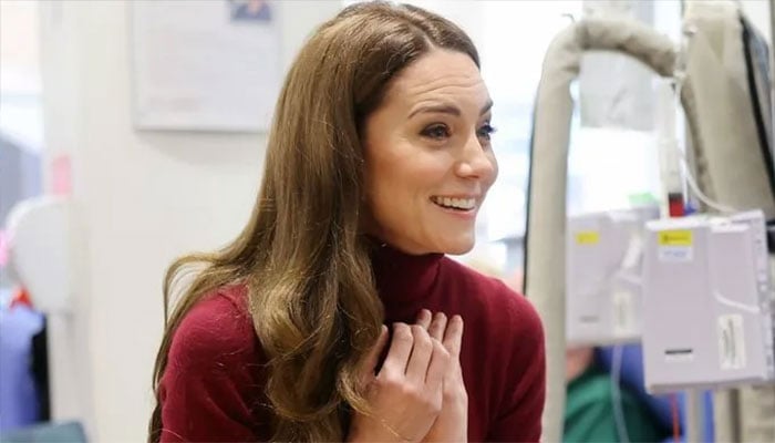 Princess Kates tartan coat, burgundy skirt, and heartfelt hospital visit.