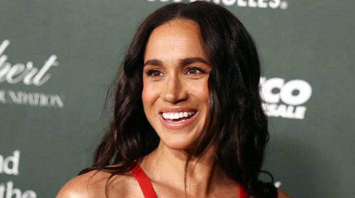 Meghan Markle memoir: Details behind guide venture lastly revealed