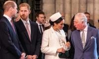 King Charles, Prince William Still Protecting Prince Harry, Meghan In US 