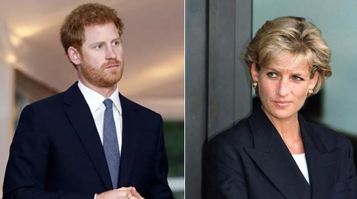 Prince Harry risks millions to secure justice and apology for Princess Diana