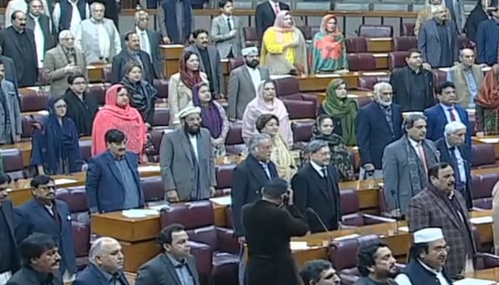 Members of National Assembly stand during anthem ahead of the ruckus-marred joint session on January 24, 2025. — YouTube/PTVParliament