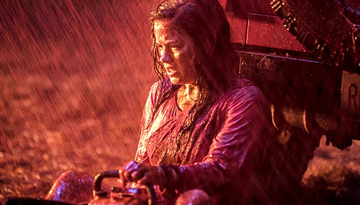 Jane Lavy features in the 2013 reboot of Evil Dead