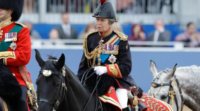 Royal experts reveal 'mysterious' side of Princess Anne horse incident