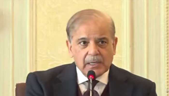 Prime Minister Shehbaz Sharif addressing federal cabinet meeting in Islamabad, February 4, 2025. — Screengrab via YouTube/Geo News