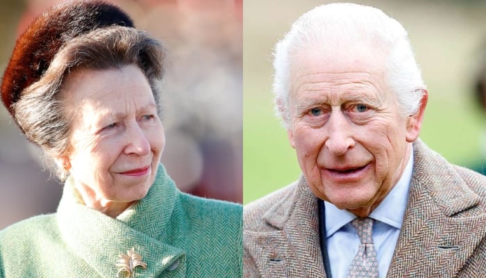 Princess Anne makes King Charles smile with lovely gesture