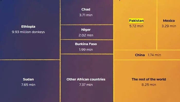 World donkey population as of 2022. —Reuters