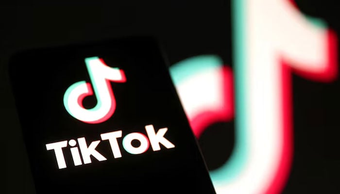 Trump says TikTok ban enforcement could be delayed further