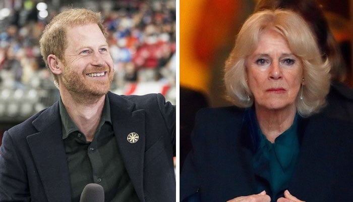 Prince Harry gets of support amid Camilla’s brutal snub: ‘unstoppable’