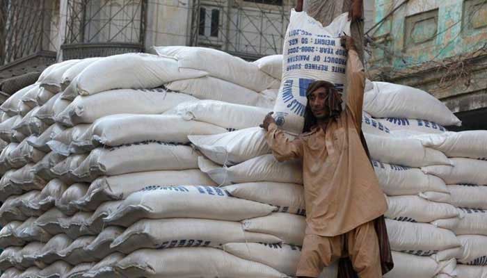 The undated image shows a labourer carrying a sack of refined sugar. Representational image. —APP File