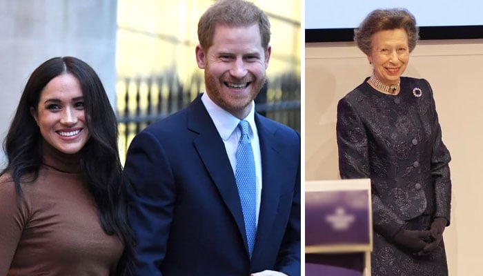 Prince Harry, Meghan issue delightful announcement after Princess milestone