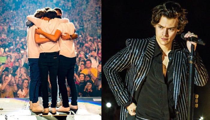 Harry Styles the REAL reason why One Direction is not reuniting?