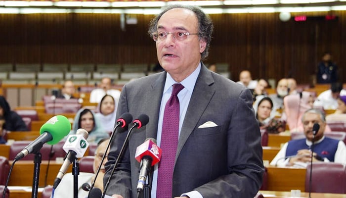 Finance Minister Muhammad Aurangzeb addressing a National Assembly session. — Radio Pakistan/File