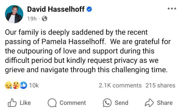 David Hasselhoff breaks silence after ex-wife Pamela Bachs tragic death