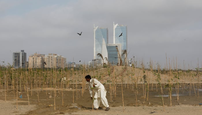 A man planting trees in Karachi in July, 2021. — Reuters