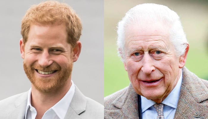 Prince Harry steps out for meaningful cause after Meghans nod King Charles