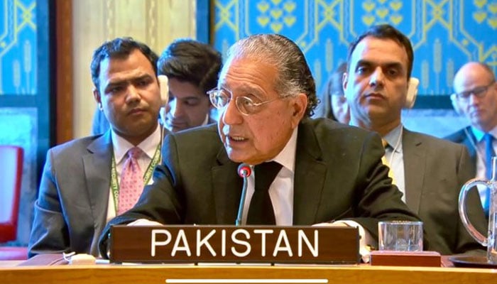 Pakistans Permanent Representative to the UN Ambassador Munir Akram speaks during the UNSC meeting on situation in Afghanistan on March 11, 2025. — X@PakistanUN_NY