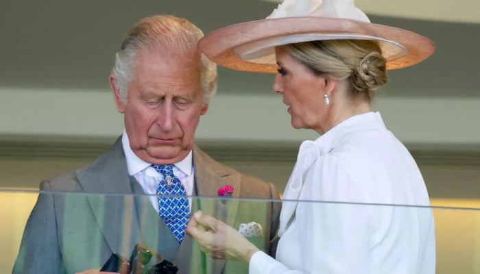 King Charles sends Duchess Sophie on key mission amid political crisis